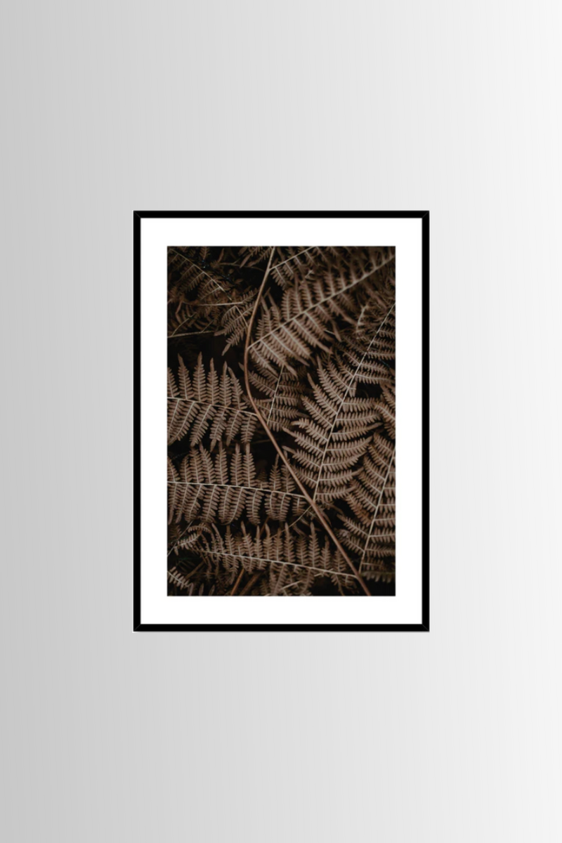 Fern Print