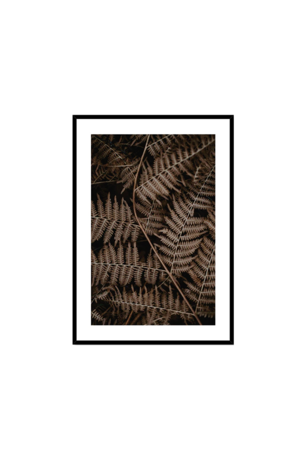 Fern Print