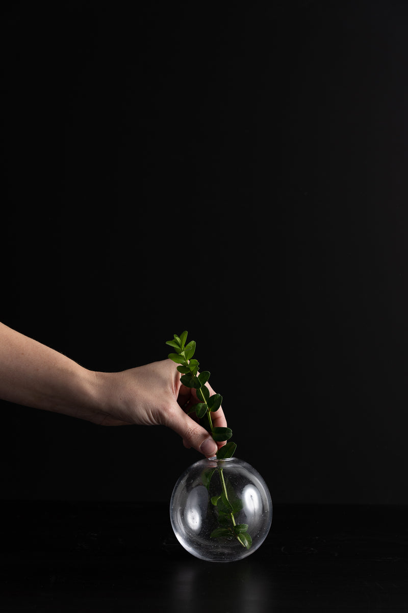 Round Bud Vase - Clear