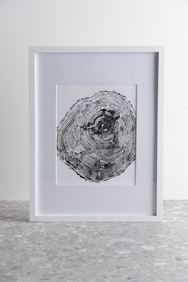 Whistler Pine Tree Ring Print - By StoryWood Prints