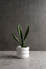 Circular Ceramic Pot - Polar White - M