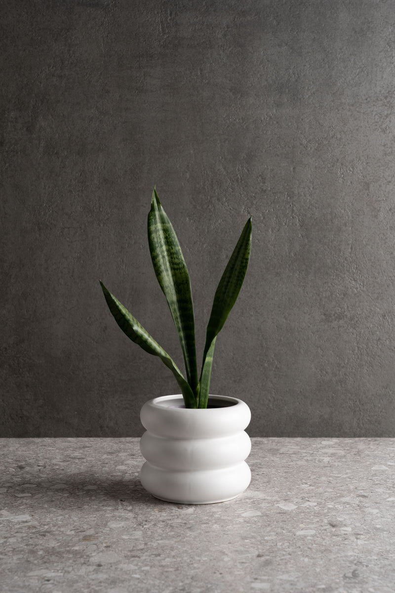 Circular Ceramic Pot - Polar White - M